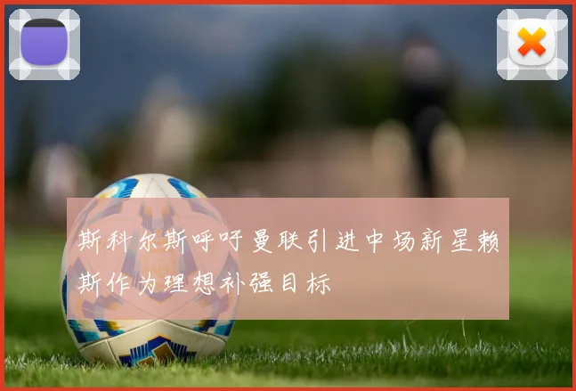 斯科尔斯呼吁曼联引进中场新星赖斯作为理想补强目标
