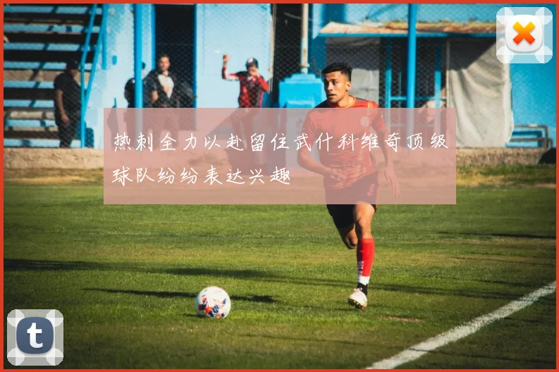 热刺全力以赴留住武什科维奇顶级球队纷纷表达兴趣